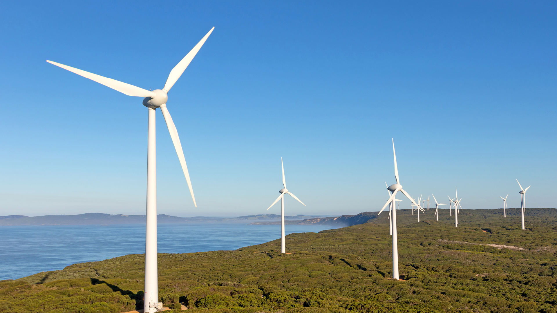 2. IMG Our Priorities 2